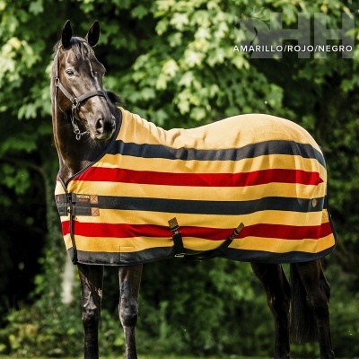 Cavalo castanho escuro com cobertor listrado amarelo, vermelho e preto ao ar livre
