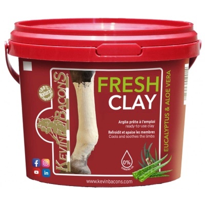 Balde vermelho de argila fresca para membros com aloe vera