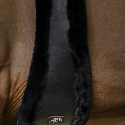 Cinta para cavalo em couro preto com bordas em pelo preto ao redor do ventre de um cavalo castanho