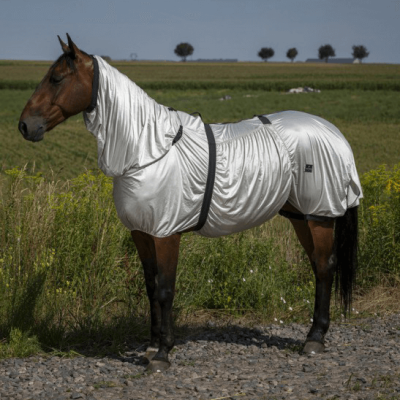 Cavalo com roupa protetora prateada numa paisagem natural