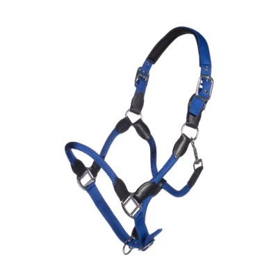 Cabresto para cavalo azul com reforços pretos e fivelas metálicas
