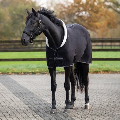 Cavalo preto com manta preta com forro branco em área externa com cerca e relvado