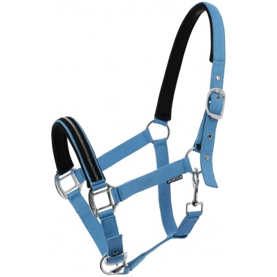 Cabresto para cavalo azul com fivelas metálicas e acolchoamento preto