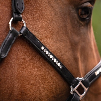 Cabresto de couro preto com pedras brilhantes num cavalo castanho