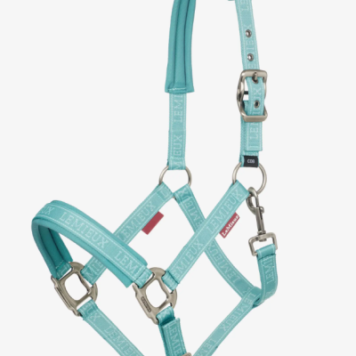 Cabresto azul turquesa para cavalo com fivelas metálicas prateadas e bordado LEMIEUX