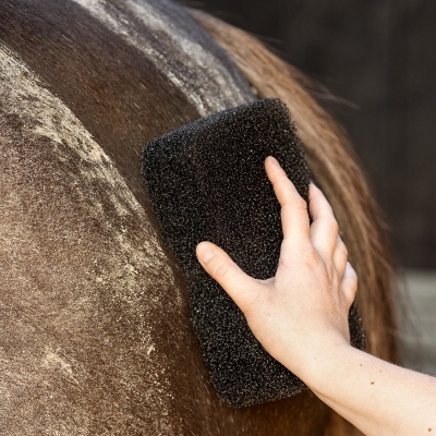 Esponja preta a limpar pelagem de cavalo castanho e branco com mão humana
