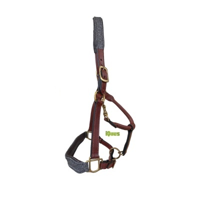 Cabresto para cavalo castanho com detalhes almofadados cinza e fivelas douradas