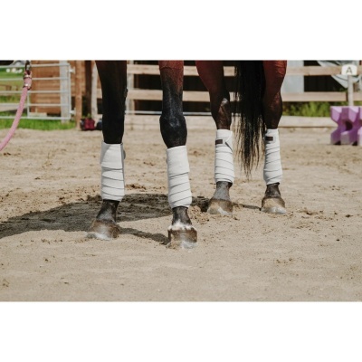 Patas de cavalo com vendas brancas sobre areia, vedação de madeira ao fundo