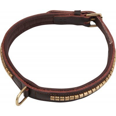 Colar para animal de estimação em pele castanha com detalhes metálicos dourados