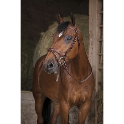 Cavalo castanho com cabresto de couro num estábulo com feno.