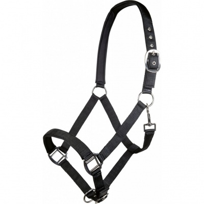 Cabresto preto de nylon com fivelas e argolas metálicas ajustáveis