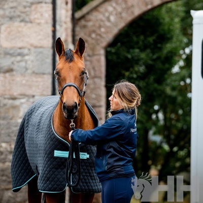 Cobertor acolchoado preto com detalhes azuis em cavalo com pessoa ao lado