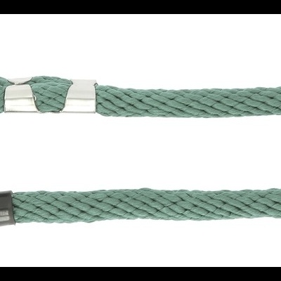 Trela para cão verde com gancho metálico e punho preto