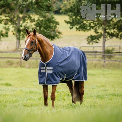 Cavalo castanho com manta azul-marinho com texto em campo ao ar livre