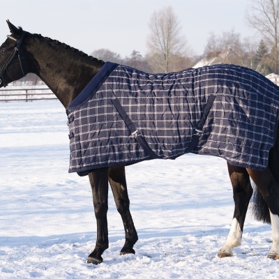 Cavalo com manta azul escura em superfície nevada
