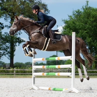 Cavalo castanho a saltar barreira numa prova de hipismo com cavaleiro de roupa preta e capacete.