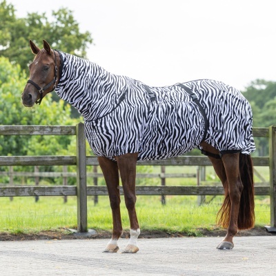 Cavalo com manta protetora de padrão zebra preta e branca