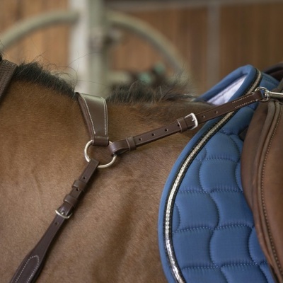 Sela de montaria castanha em couro sobre cavalo com manta azul acolchoada