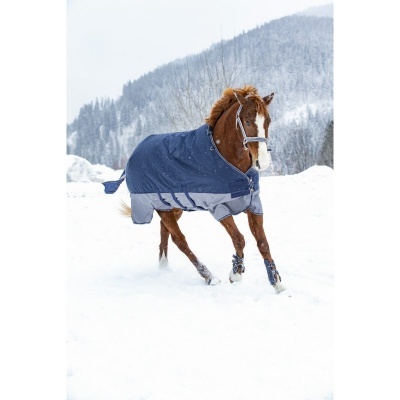 Cavalo vestido com manta azul e cenário de neve