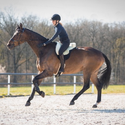 Pessoa a cavalo num picadeiro ao ar livre com cavalo castanho e equipamento de equitação
