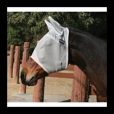 Cavalo com máscara protetora branca em cerca de madeira vermelha