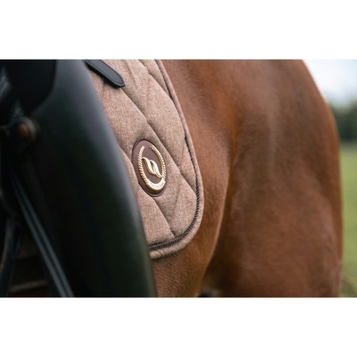 Mantilha de sela bege acolchoada em cavalo castanho com emblema CW dourado