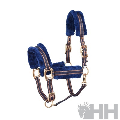 Cabresto de cavalo azul escuro com interior almofadado e fivelas douradas