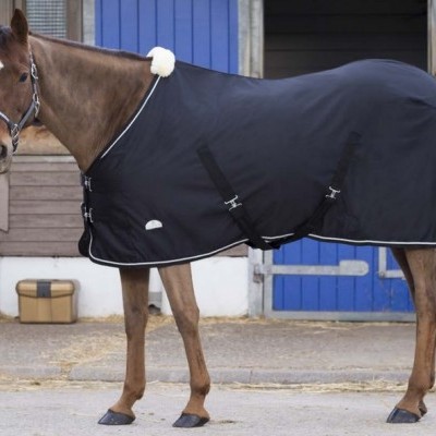 Cavalo com manta preta em estábulo com porta azul