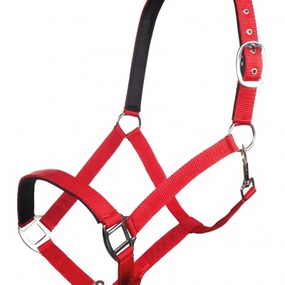 Cabresto para animal em fita vermelha com fivela e argolas metálicas