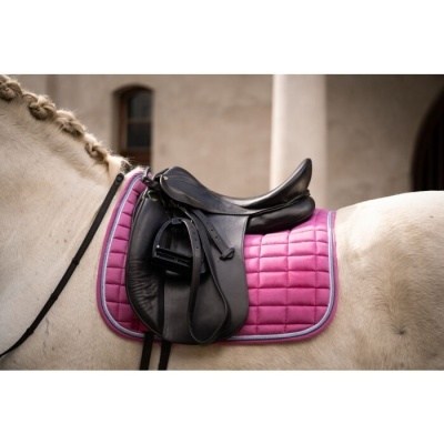 Sela de equitação preta sobre manta rosa em cavalo branco