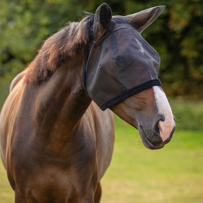 Cavalo castanho com máscara anti-insetos preta de malha fina e borda felpuda