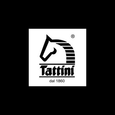 Tattini