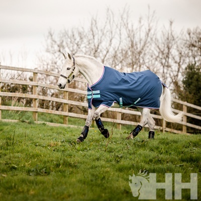 Cavalo branco com manta azul e proteções a correr num campo verde