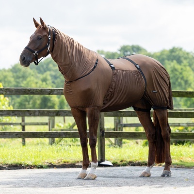 Cavalo com manta castanha ajustada cobrindo corpo e pescoço com fivelas pretas e cerca ao fundo