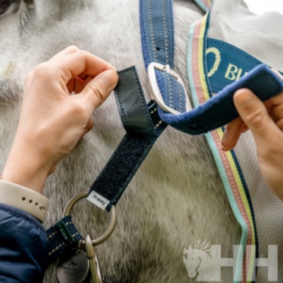 Mãos a prender correia azul com velcro no cavalo com manta colorida