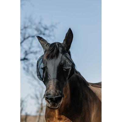 Cavalo castanho com venda preta cobrindo olhos e orelhas ao ar livre