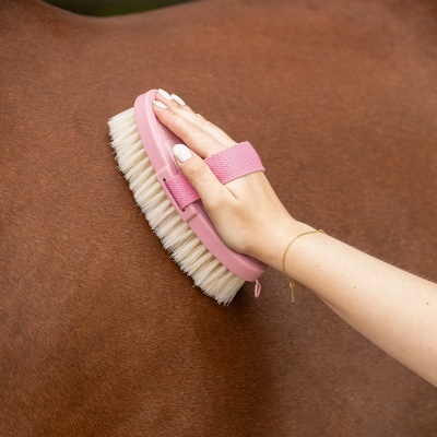 Escova de mão cor-de-rosa com cerdas brancas a escovar pelo castanho