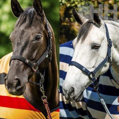 Dois cavalos, castanho e branco, com cabrestos de tecido e insígnia 'HH', roupas às riscas e fundo de vegetação desfocado.