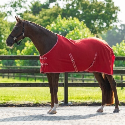 Cavalo castanho com manta vermelha e cerca de madeira ao fundo
