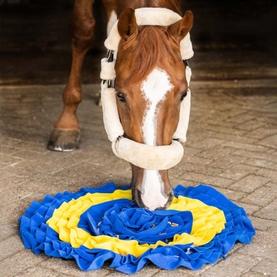 Cavalo com focinheira almofadada perto de tapete azul e amarelo no chão de estábulo