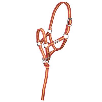 Cabresto para cavalos laranja e amarelo em tecido com argolas metálicas e fivelas