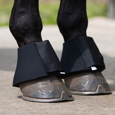 Protetores pretos para patas de cavalo nas patas dianteiras