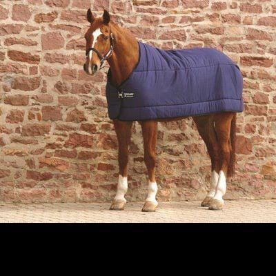 Cavalo com manto azul escuro junto a parede de pedra vermelha