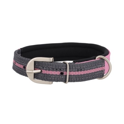 Coleira para cão cinzenta com risca rosa e fivela metálica
