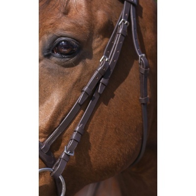 Brida em couro castanho escuro ajustável no rosto de cavalo castanho