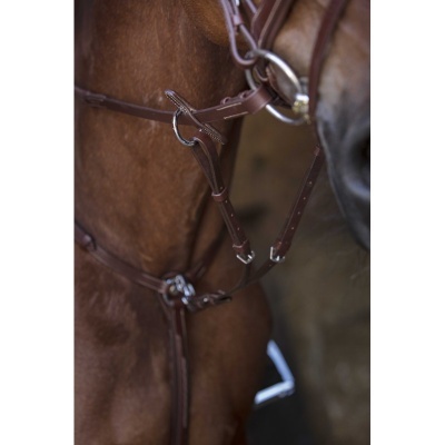 Cavalo com sela de couro castanho e fivelas metálicas