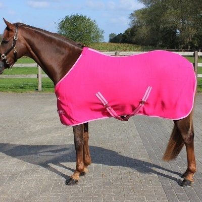 Cavalo castanho com manta rosa vibrante e tiras de aperto em ambiente exterior