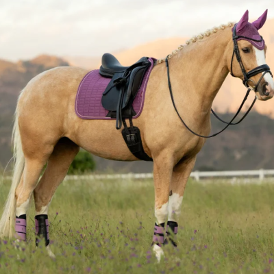 Cavalo creme com sela preta e acessórios roxos em campo verde