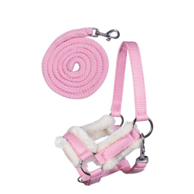 Trela e peitoral rosa para cão com almofadas interiores brancas e fechos metálicos