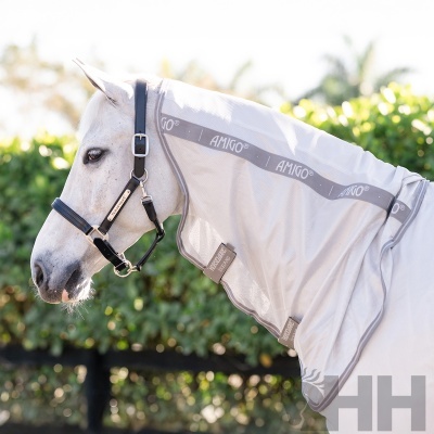 Cavalo branco com manta protetora cinza claro com texto AMIGO em ambiente ao ar livre